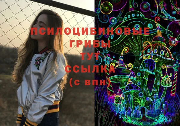 соль ск Богданович