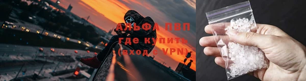 соль ск Богданович