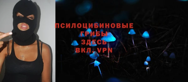 кокс Богородск