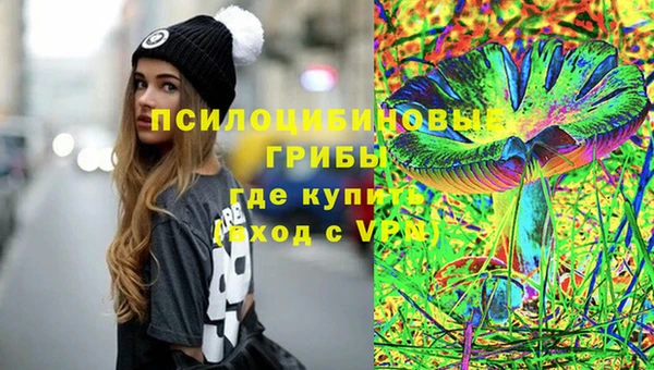 мескалин Новодвинск
