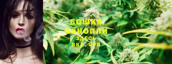 соль ск Богданович